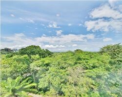 Nassim Regency (D10), Condominium #633332711